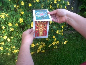 Ace  of Wands ~ 4 of Wands