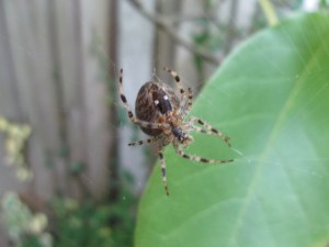 My spidey senses are tingling...