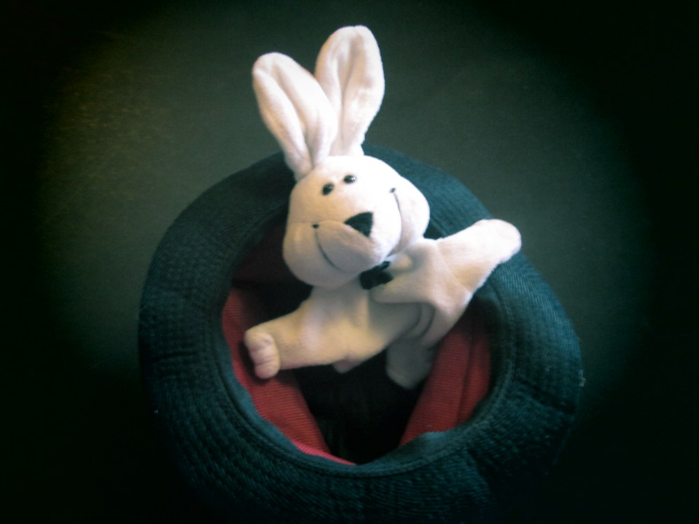 Meet my funny bunny...