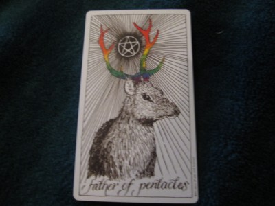 The Wild Unknown Tarot
